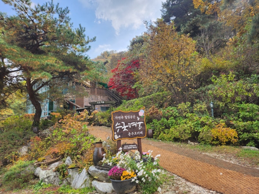 수국여울 충주 사진 2
