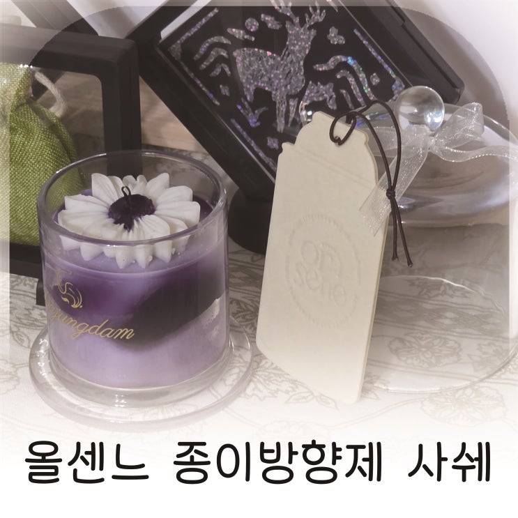  차량방향제로 좋은 종이방향제, 감성적인 옷장방향제 추천 올센느 사쉐