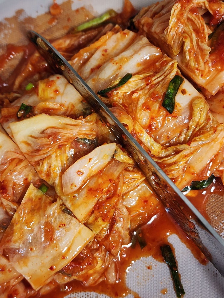  황태육수로 깊은 맛! 서울식 김치의 정석, 필동가 김치 리얼 후기