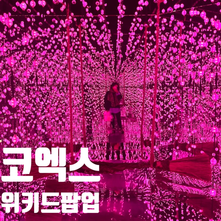  코엑스 위키드 팝업 후기 – 기대 이상으로 완벽했던 마법의 공간