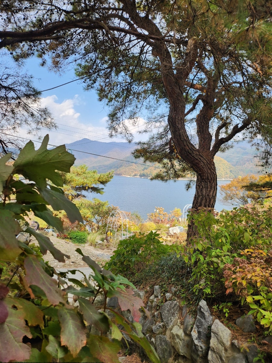 수국여울 충주 사진 5