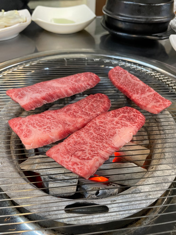  대전관평동맛집 한우마실정육식당_프리미엄 한우A++(no8, no9)를 정육 소매가로