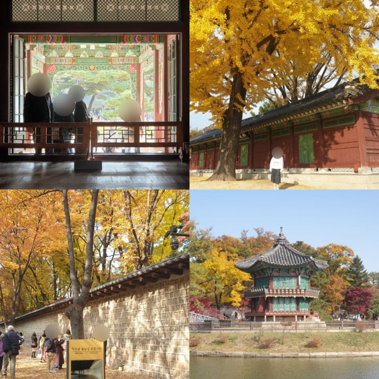  서울 뚜벅이 여행 서울 단풍 명소 TOP5