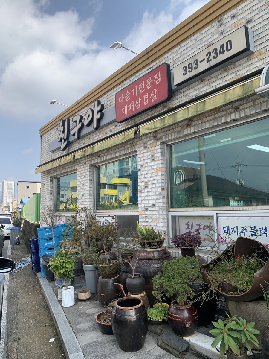 친구야 사진 4