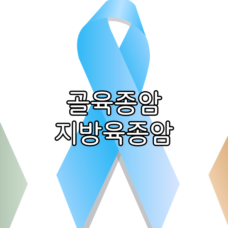 골육종암 증상 vs 지방 육종암 증상 차이점 7가지