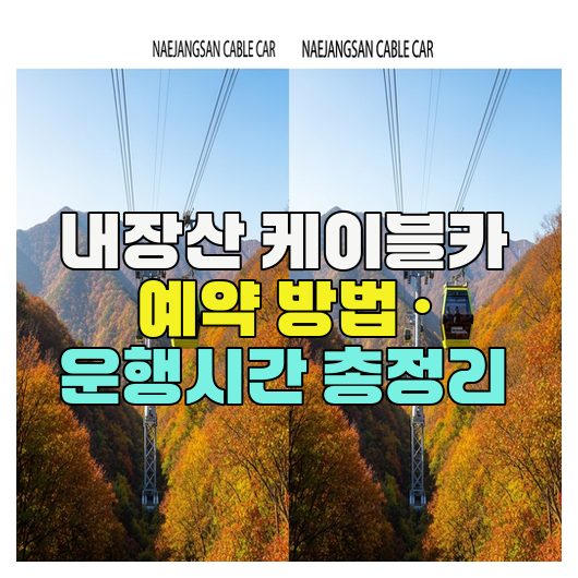  내장산 케이블카 예약 방법 · 운행시간 총정리