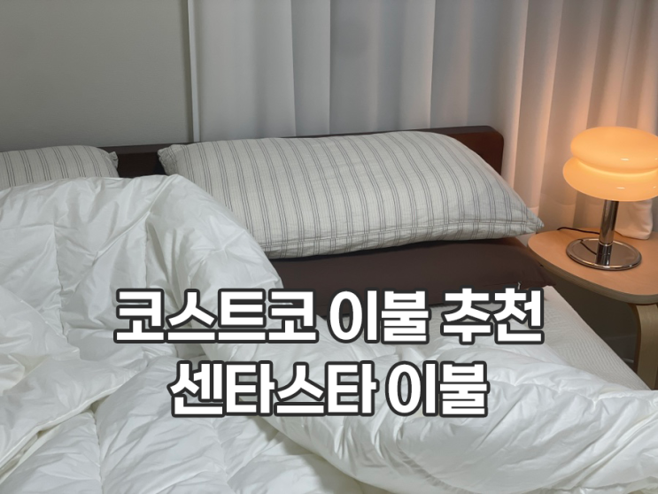  코스트코 이불 센타스타 겨울이불 실제 사용 후기