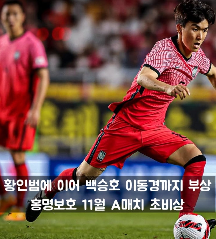 황인범 <b>백승호</b> <b>이동경</b> <b>부상</b> 11월 A매치 이탈, 플랜B로 가나전... 
