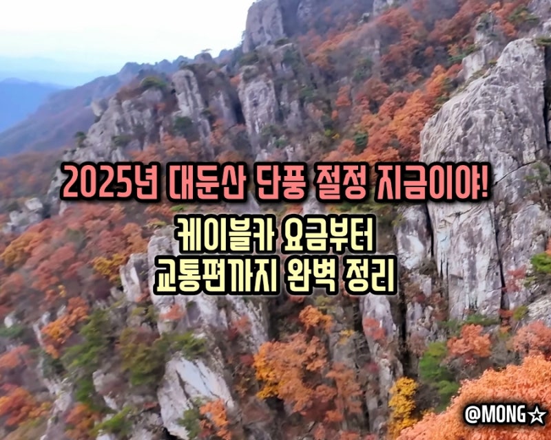 2025년 대둔산 단풍 절정 지금이야! | 케이블카 요금부터 교통편까지 완벽 정리