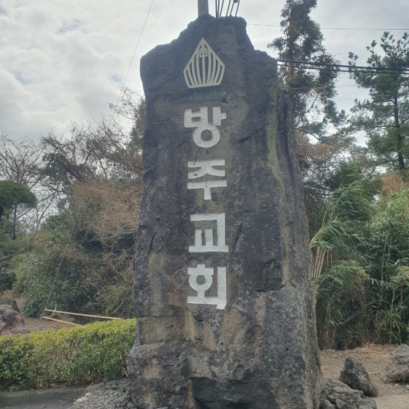 사진 7