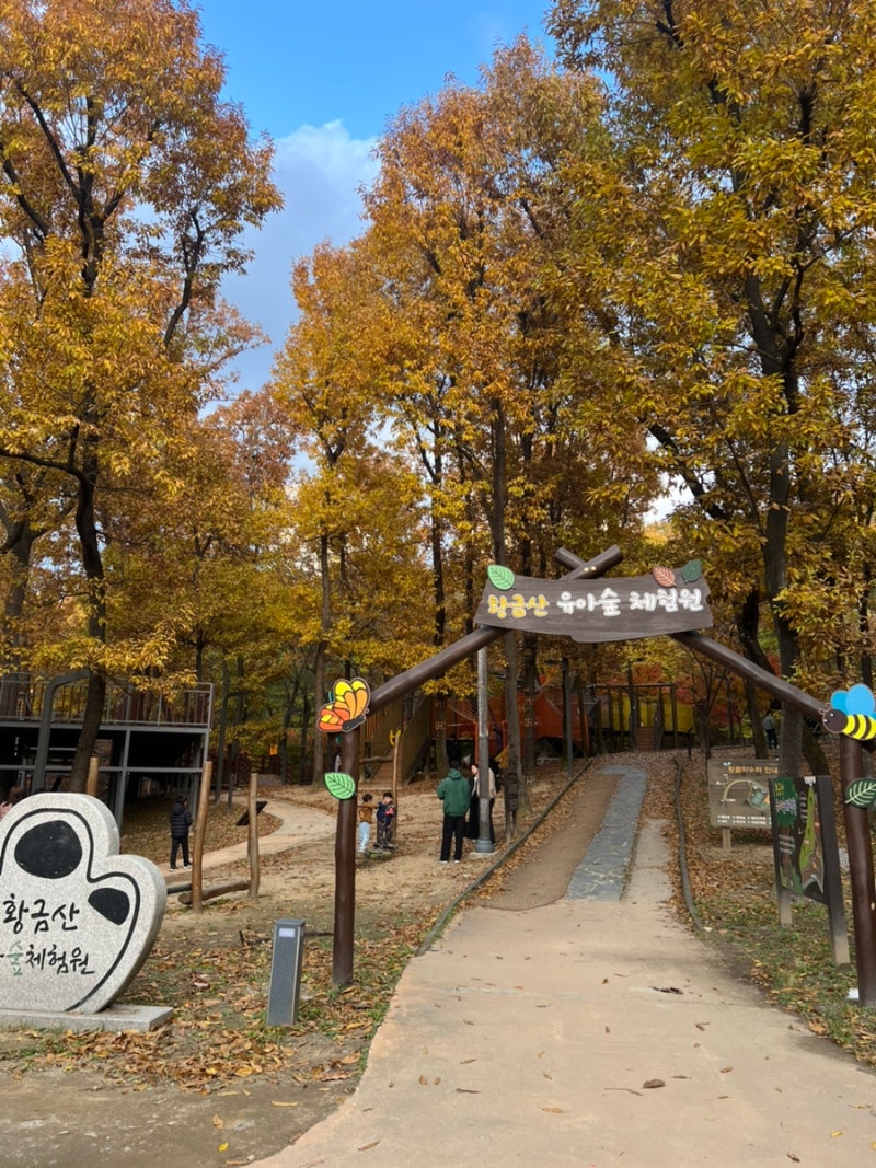남양주 단풍명소 숲놀이터 황금산 유아숲체험원