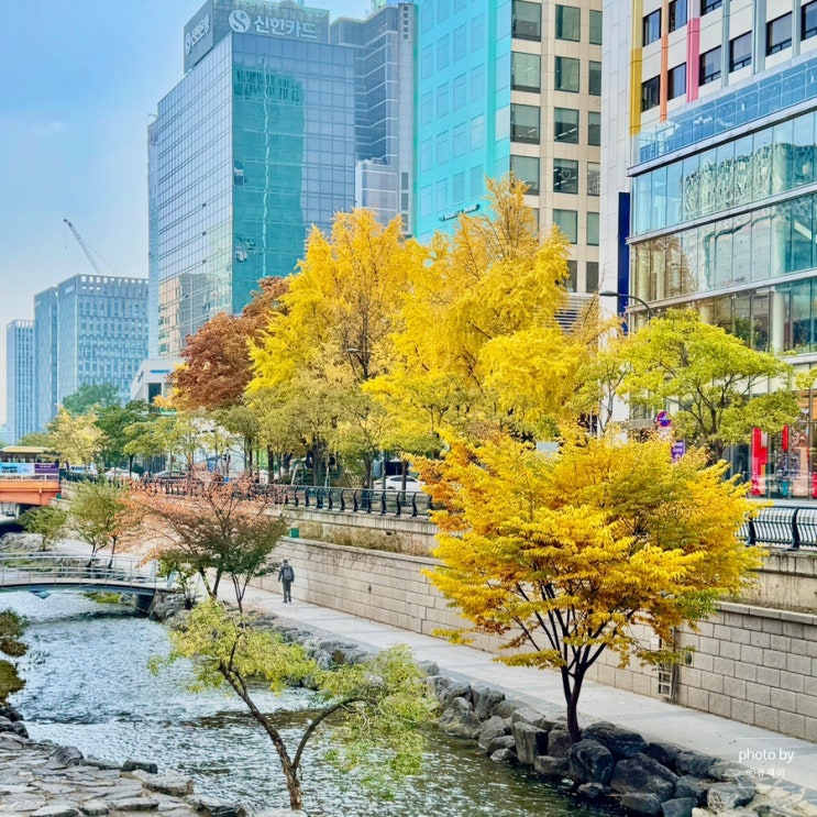  서울 종로 가볼 만한 곳 산책하기 좋은 곳 청계천 가을 데이트