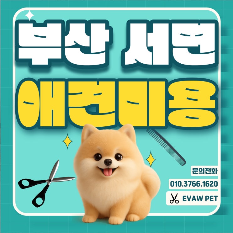  부산 서면애견미용학원 이바우펫 실무 중심 교육으로 자격증과 취업까지 한 번에