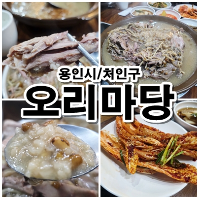  용인 따뜻한 보양식 엄나무 오리 누룽지 백숙 정갈한 한상