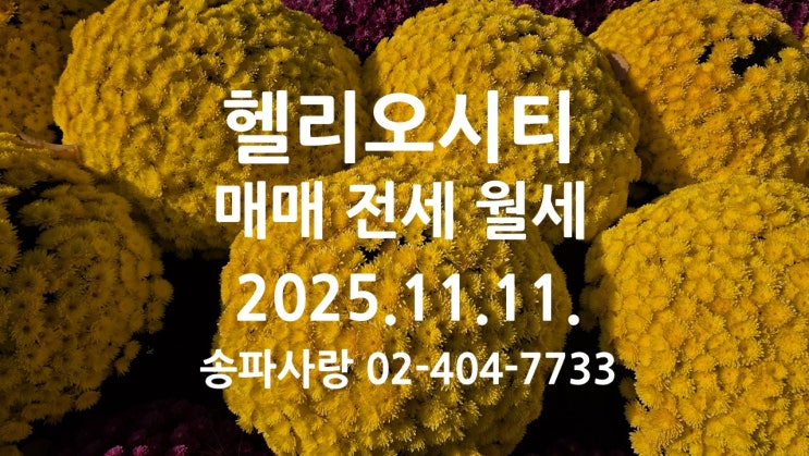  명문 학군지 헬리오시티 매매 전세 월세 시세 2025년 11월 11일