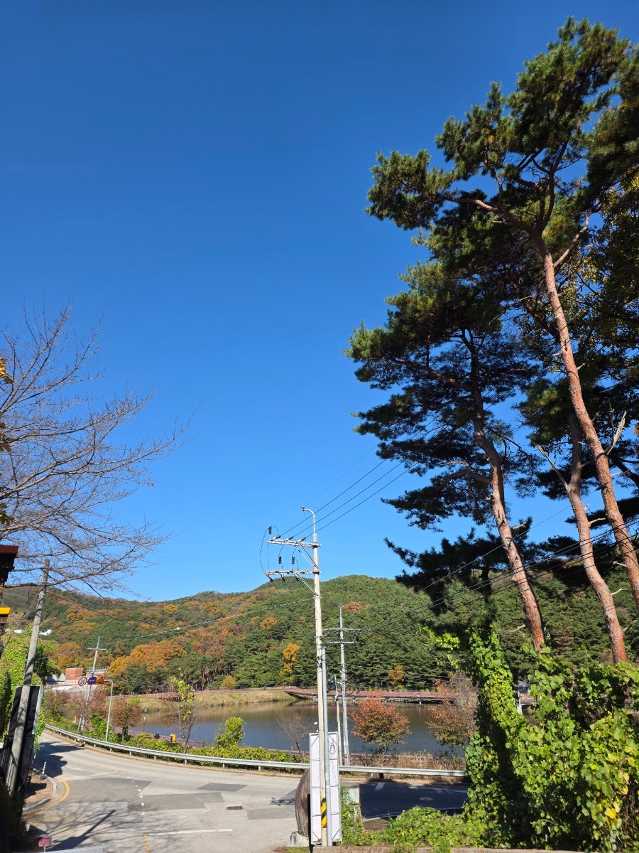 검성지한정식 사진 4