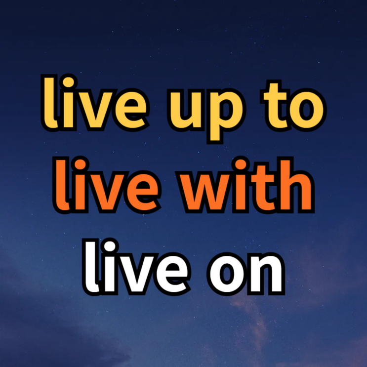  live up to, live with, live on 뜻 예문 비교