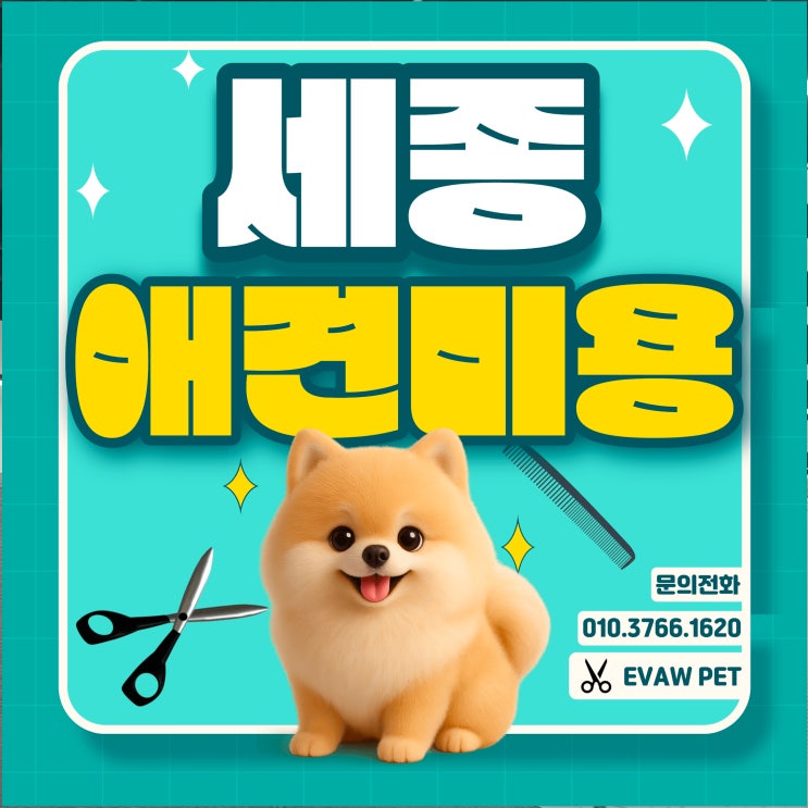  세종애견미용학원 선택, 이바우펫으로 결정한 이유