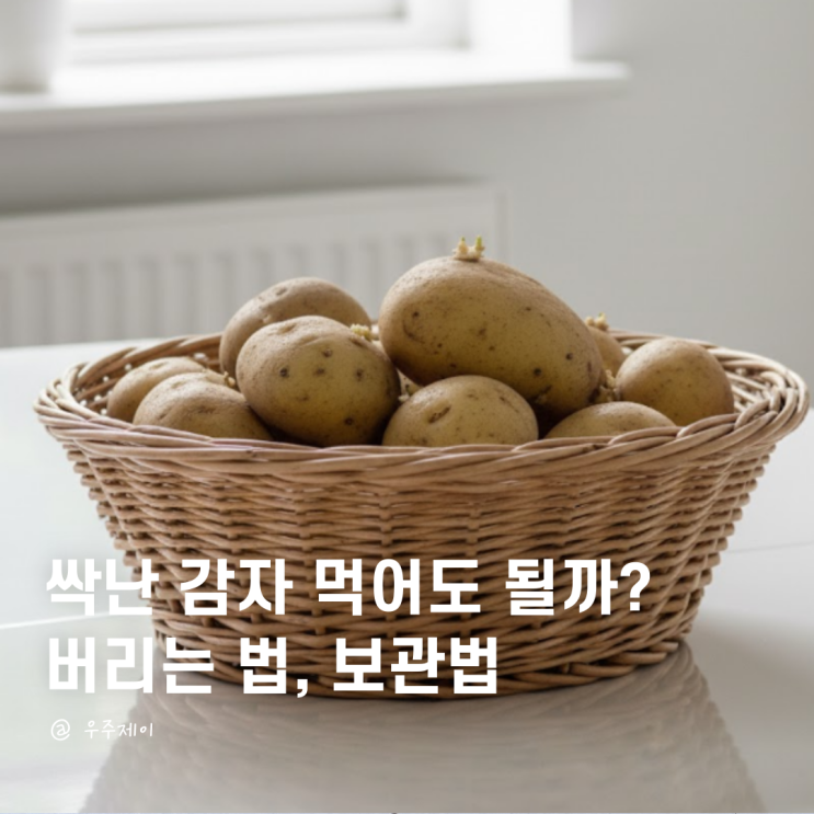  싹난 감자 먹어도 될까? 싹난거 버리기 방법 정리