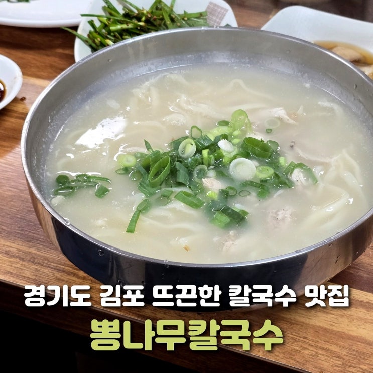  김포 맛집 뽕나무칼국수 뜨끈한 칼국수와 뽕잎 부추전