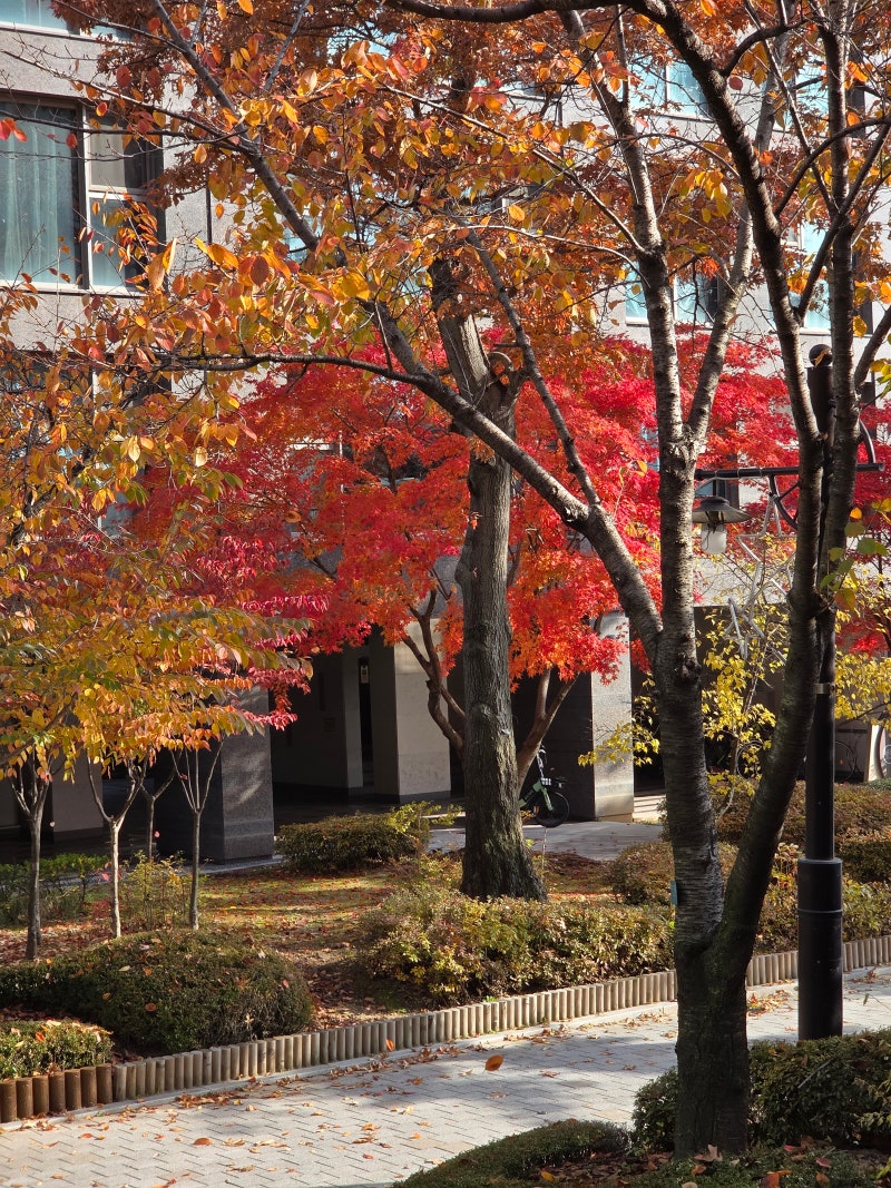 정책지식 2025.11.10. : 네이버 블로그