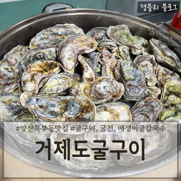  양산북부동맛집 양산굴구이 석화구이맛집 양산로컬맛집 '거제도굴구이'