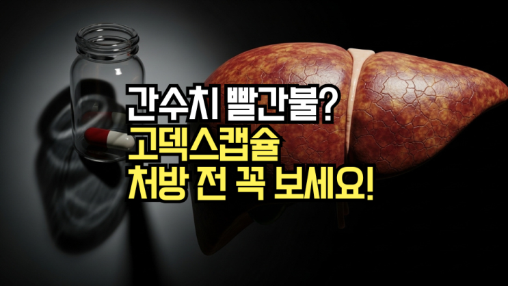  고덱스캡슐, 간수치 고민이라면 주목! 효과와 부작용, 처방 전 필독 정보