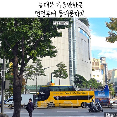  동대문놀거리실내 3곳 던던 밀리오레 두타 스타벅스 가볼만한곳