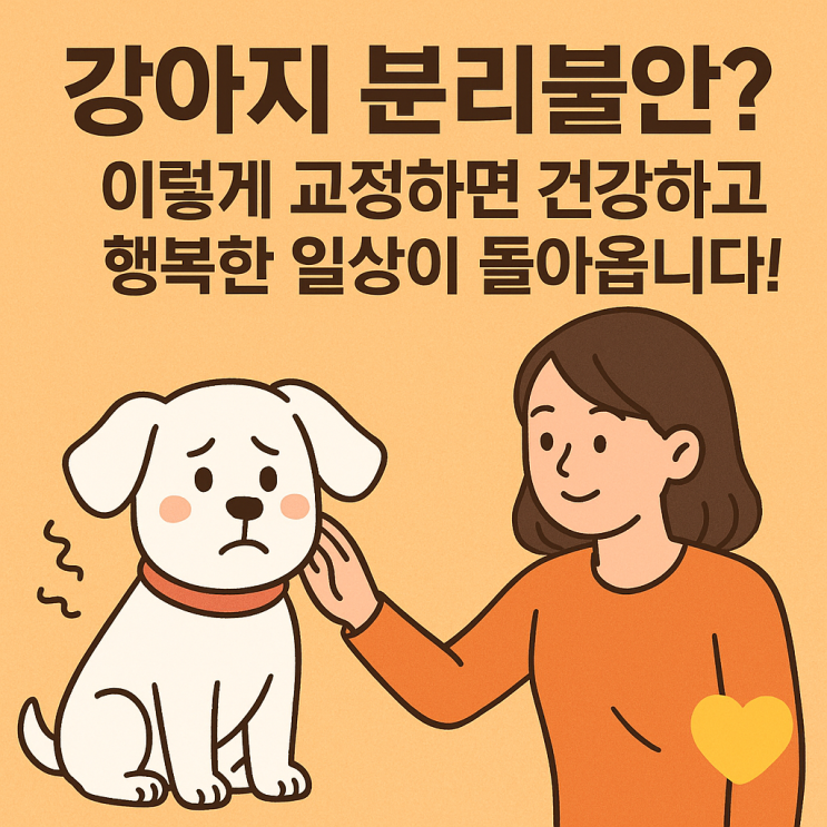  강아지 분리불안 교정 사례: 효과적인 해결 방법과 경험 공유
