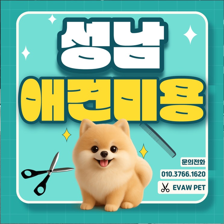  성남애견미용학원 가정견 실습으로 진행되는 커리큘럼