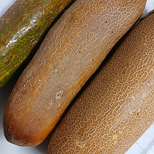노각의 효능 노각들깨볶음 만드는법