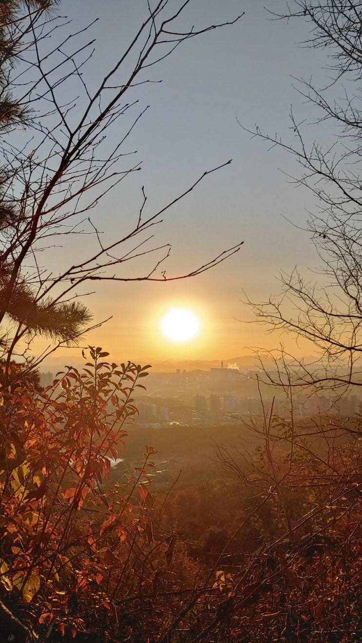 설봉산의 일출과 단풍놀이(20251110)
