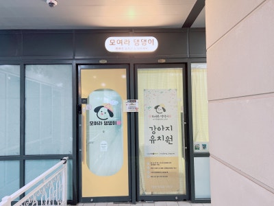 사진 2