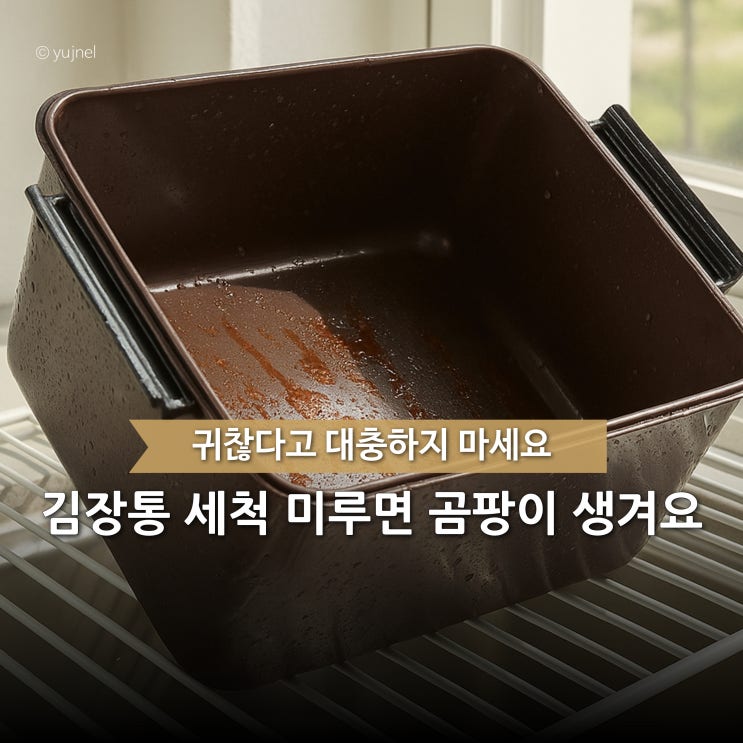  김장통 세척 '5분만' 투자하세요 안 그러면 내년 김치 곰팡이 낍니다