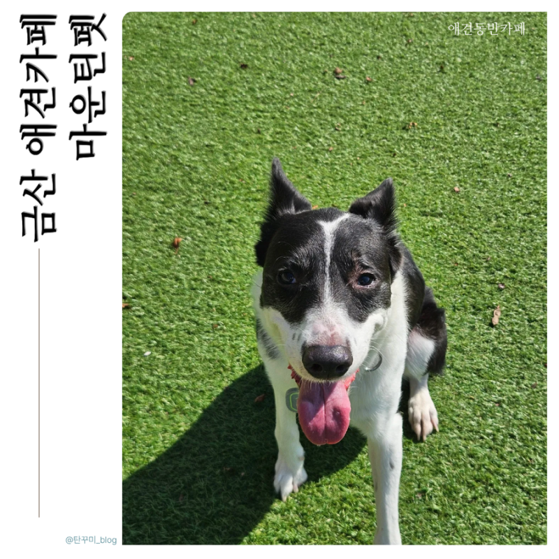 사진 4