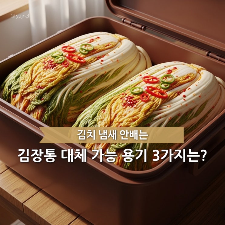  김장통 없어 걱정이죠? 냄새 안배는 대체 가능 김치 보관 용기 TOP 3