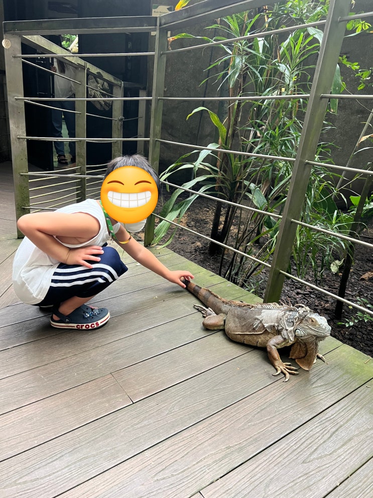  싱가포르 동물원 Mandai Zoo