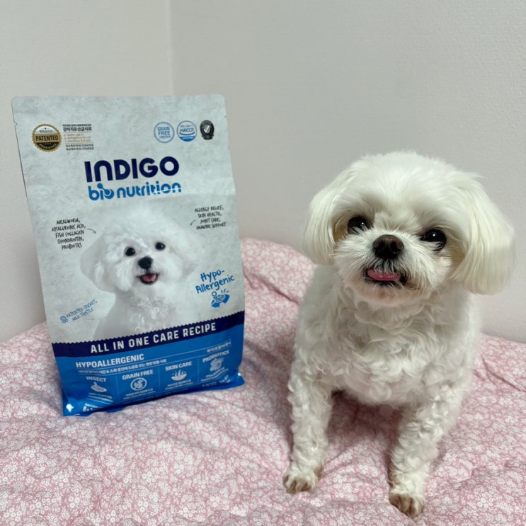  강아지알러지사료 인디고 기호성좋은사료 추천