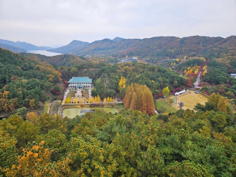 청남대, 청남대 가을풍경,국화축제, 청남대 단풍,2025.11.8.