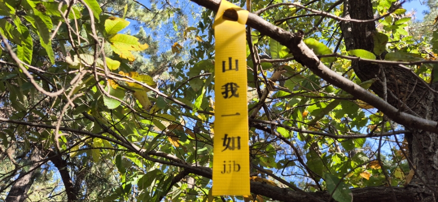 밤무골산 사진 4