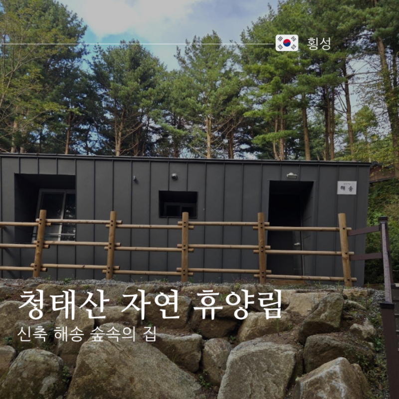 청태산 자연휴양림 신축 해송