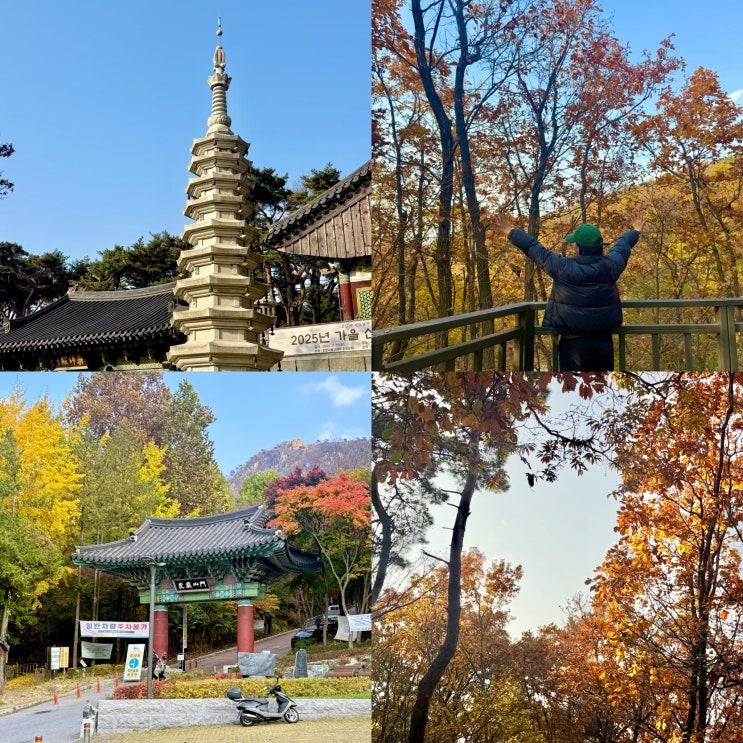  호압사 서울 단풍구경 11월 가을에 가기 좋은 곳 주차장 대중교통