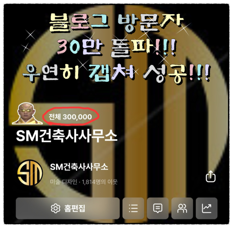  블로그 누적 방문자 30만 명 돌파!!!