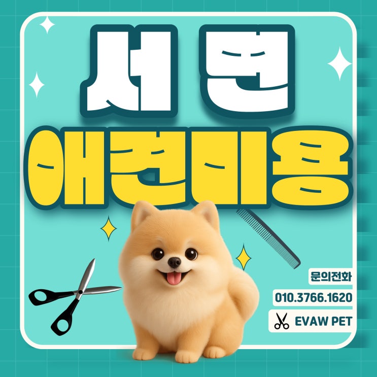  서면애견미용학원 후기 – 왜 협회 지원을 선택했나?