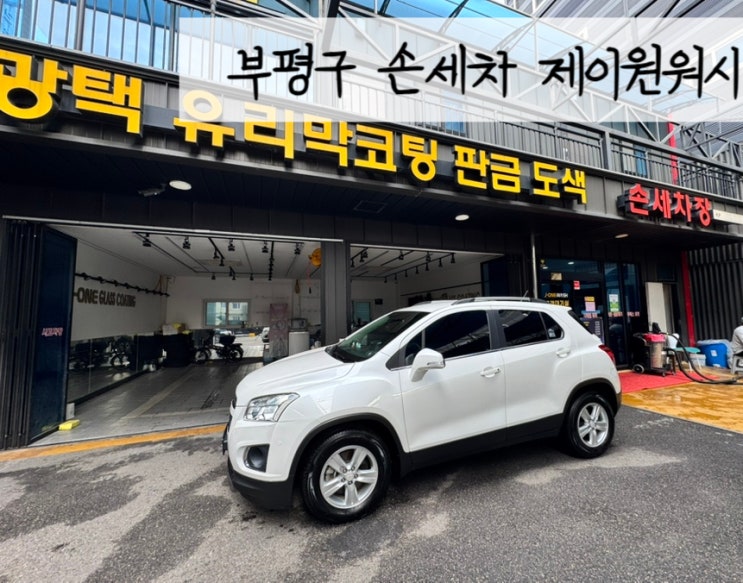  부평구 손세차 제이원워시 강아지 키운다면 꼭 여기!