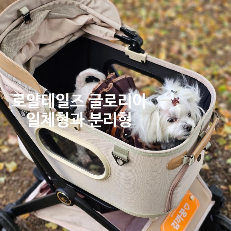  로얄테일즈 글로리아 강아지 유모차, 분리형 vs 일체형 완벽 비교 가이드