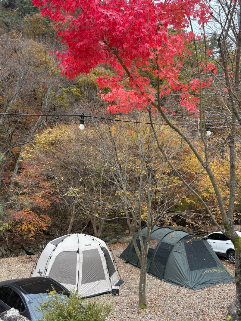 문경히든벨리오토캠핑장