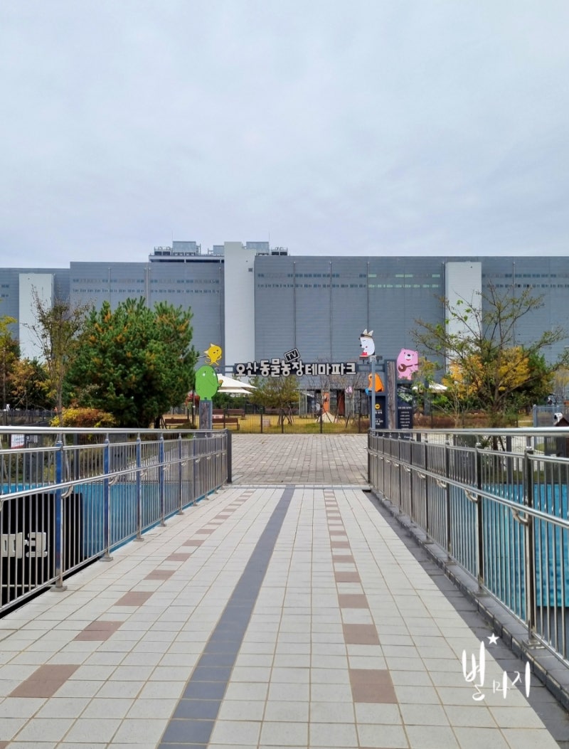 사진 7