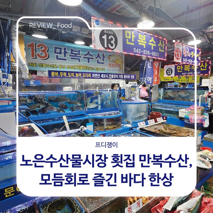  노은수산물시장 횟집 만복수산, 모듬회로 즐긴 바다 한상