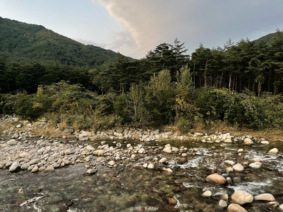 설악촌식당 사진 4